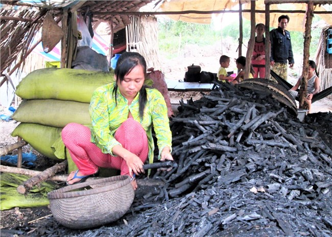 Cà Mau: Nghề hầm than ở đất rừng U Minh Hạ (8/9/2022)